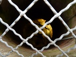 p1000079.jpg
