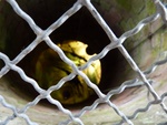 p1000080.jpg