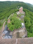 p5300554.jpg